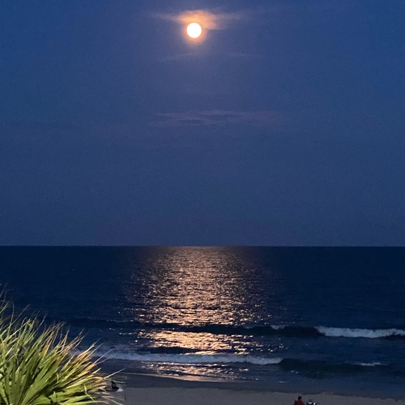 Meet your Posher, Aj - Picture 4 of 4